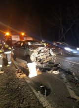 Wypadek w miejscowości Paprotnia w powiecie brzezińskim. Ranna sędzia sądu z Łodzi [ZDJĘCIA]