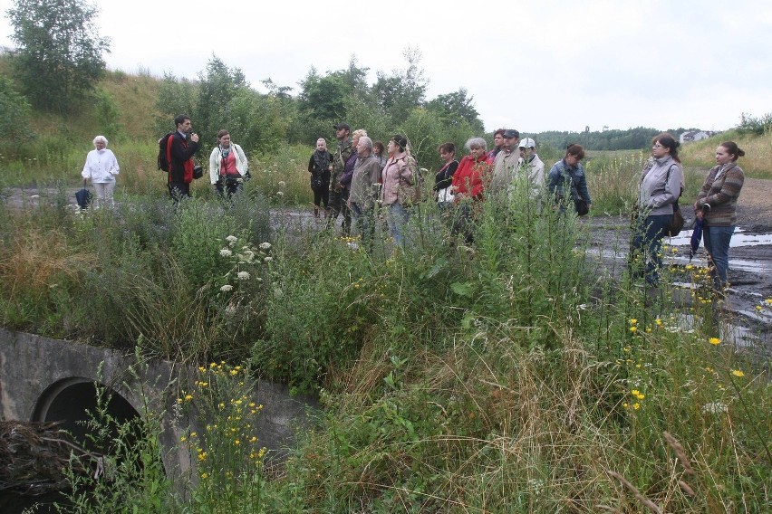 Wykopaliska archeologiczne w Rudzie Śląskiej - Kochłowicach