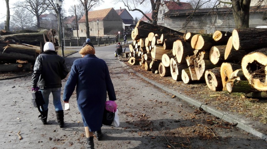 Wycięte zostały wszystkie drzewa, poniemieckie lipy przed...