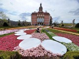 Festiwal Kwiatów i Sztuki w Zamku Książ w Wałbrzychu czas zacząć. Tak przystrojono piękny zabytek!