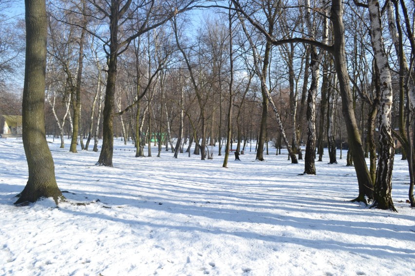 Park Zamkowy w Mysłowicach przejdzie rewitalizacje