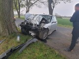 Wypadek między Liniami a Rzepnowem. Kierowca wjechał w drzewo