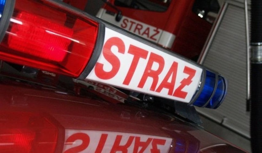 Ruda Śląska: Pożar w budynku komisu samochodowego
