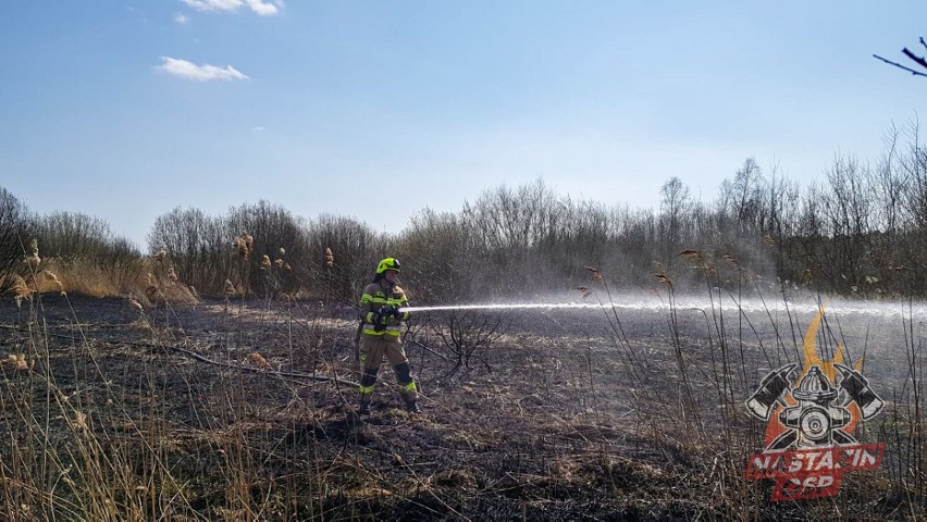 Strażacy walczą z pożarami traw ZDJĘCIA           