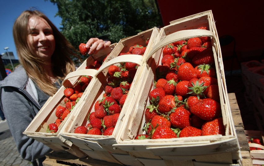 Koncepcja dobrze przyjęła się na plantacji "Zielony Gaj"...