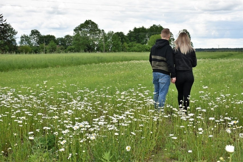 Urokliwe miejsce na Polesiu Lubelskim. Tu kwitną rumianki i czas jakby zatrzymał się w miejscu! Zobacz zdjęcia