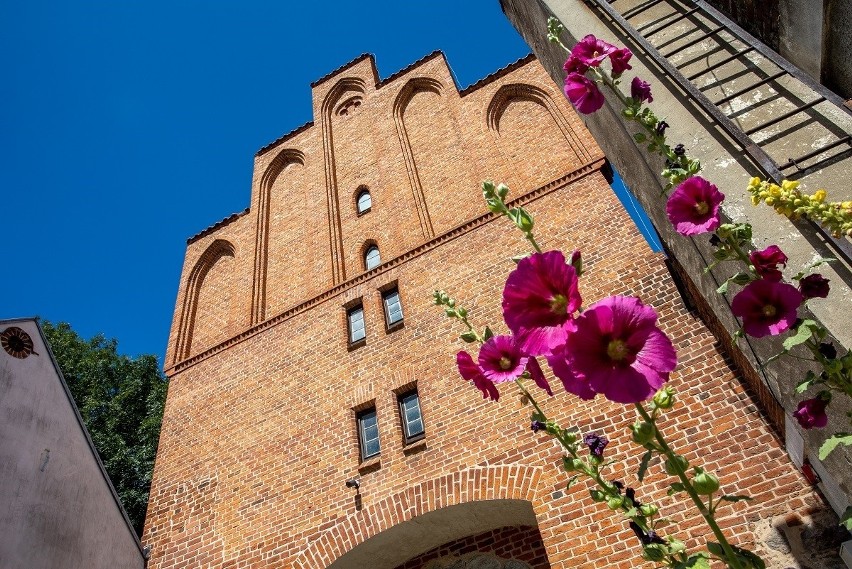Odrestaurowana wieża bramna w Zamku Bierzgłowskim