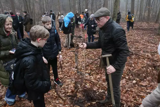 W lesie na obrzeżach Koszalina wolontariusze (udział w akcji wzięło ponad 60 osób) pod okiem leśników posadzili około 150 nowych drzewek.