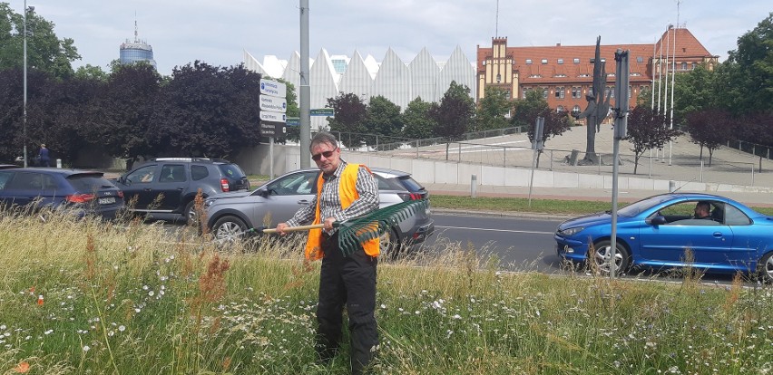 Radny Szczecina Robert Stankiewicz w centrum miasta kosił wysoką trawę, by uniknąć wstydu przed turystami na Żagle 2021 