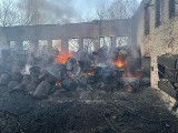 Pożar składowiska niebezpiecznych odpadów w Kędzierzynie. Czy doszło do podpalenia?