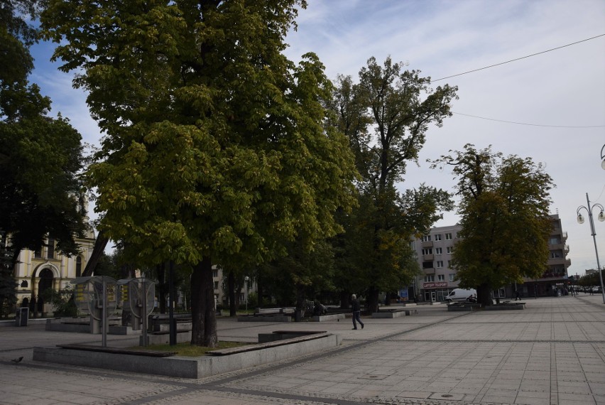 Częstochowska radna chciałaby, aby na placu Biegańskiego...