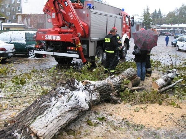 Strażacy usuwają powalone drzewo.