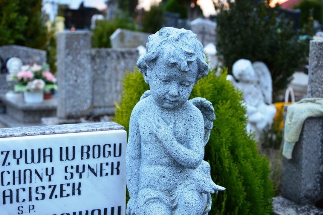 Groby dzieci na bytowskim cmentarzu.