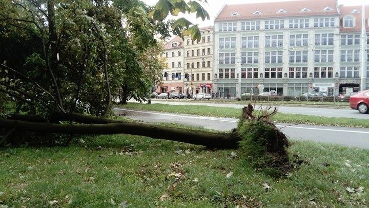 Przeszedł orkan Ksawery. 18 osób rannych, 43 tys. ludzi bez prądu [ZDJĘCIA]