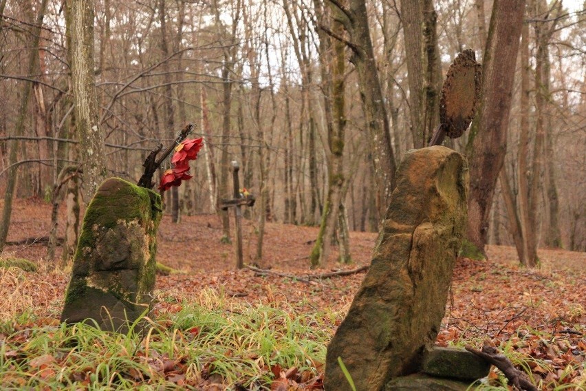 Leśny cmentarz, nieistniejąca wieś Jamna w Nadleśnictwie...