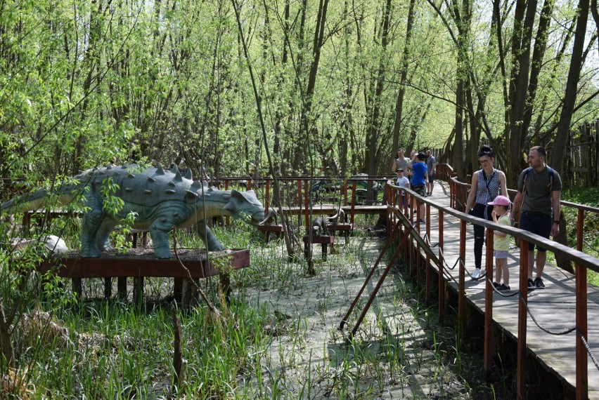 Z zimowego snu obudziły się dinozaury w Zatorlandzie. Dołączył do nich największy jaki żył i jaki wybudowano na świecie [ZDJĘCIA, WIDEO] 