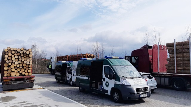 Pojazdy ciężarowe po brzegi załadowane drewnem wzięli pod lupę inspektorzy śląskiej Inspekcji Transportu Drogowego. Pięć skontrolowanych transportów okazało się mocno przeładowanych.