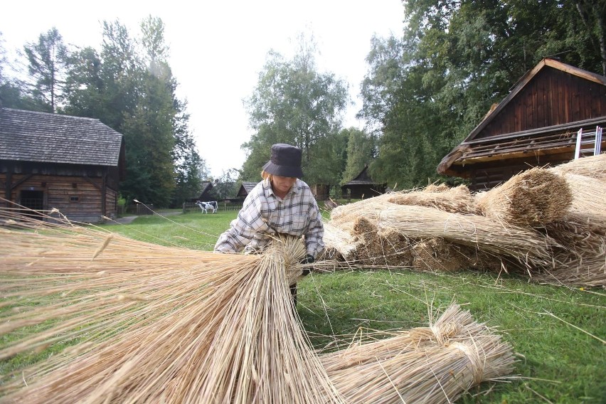 Prace prowadzone w chorzowskim skansenie