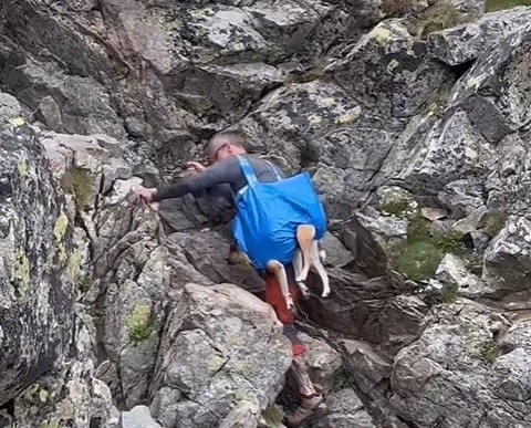 Pies w torbie na szlaku z łańcuchami w Tatrach Słowackich