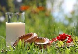 Sery regionalne, kozie mleko, gęsta śmietana - małopolskie rarytasy z e-bazarku! Ile kosztują swojskie produkty nabiałowe od rolnika?