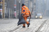 Ekosystem zaoszczędził na łagodnej zimie 5 mln zł. Zlecił dodatkowe sprzątania ulic