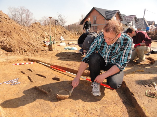Archeolog Maciej Nowak przy wykopanym wczoraj szkielecie