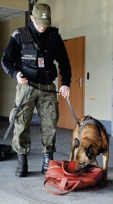 Z narkotykami walczą na lotnisku specjalnie wyszkolone psy. Wyczują nawet najmniejszą ilość nielegalnych substancji. Fot. Jan Hubrich
