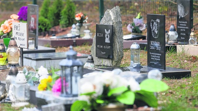 To cmentarz dla zwierząt w Warszawie.  Właściciele odwiedzają swoich Miśków, Burków, swoje Sunie i Perełki. Pamiętają, tęsknią, wiele osób zwyczajnie tego potrzebuje