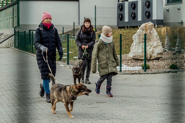 Miłośnicy czworonogów mieli okazję zrobić niespodziankę mieszkańcom bydgoskiego Schroniska dla Zwierząt i stać się dla nich nową, kochającą rodziną.