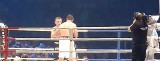 Tomasz Adamek vs Maddalone. Walka (wideo)