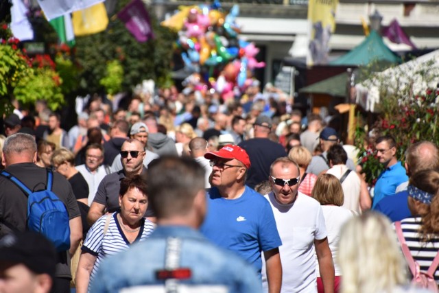 Tak wygląda pierwszy dzień Winobrania 2022