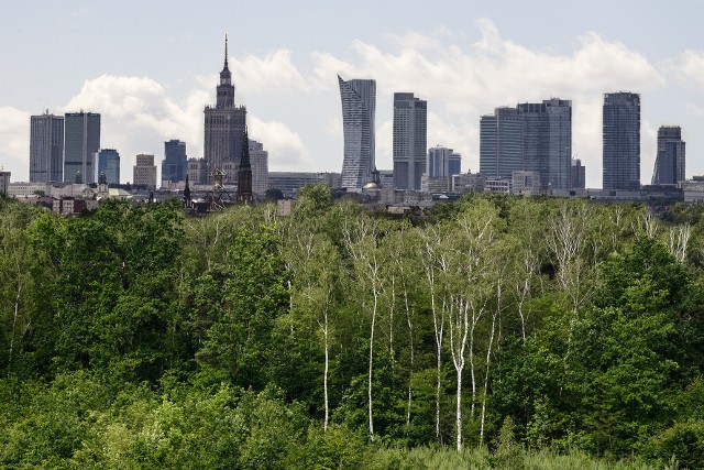 Lasy otaczające Warszawę to zielony filtr, oczyszczający powietrze, którym oddychają mieszkańcy stolicy.