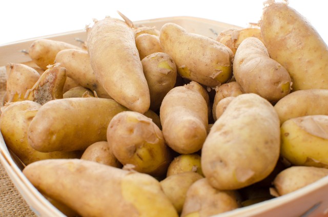 Plantacjom ziemniaka zagraża alternarioza 