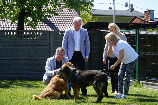 Na zdjęciu Libro z Bolkiem pod czujnym okiem dyrektora PGKiM, Grzegorza Andrzejczaka, Burmistrza Aleksandrowa Jacka Lipińskiego, Jolanty Wojciechowskiej z Psiakowa oraz Katarzyny Rezler.