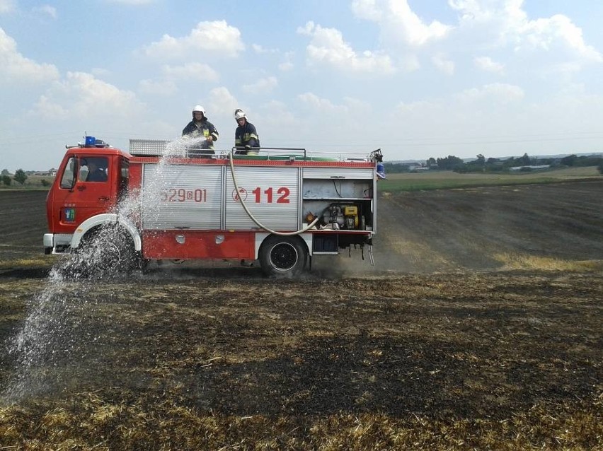 Starogard Gdański: Duży pożar strawił około 2,5 ha pola [ZDJĘCIA]