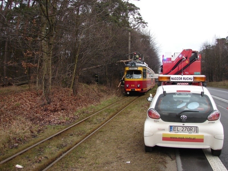 Sosna runęła na tramwaj pod Zgierzem [FILM]