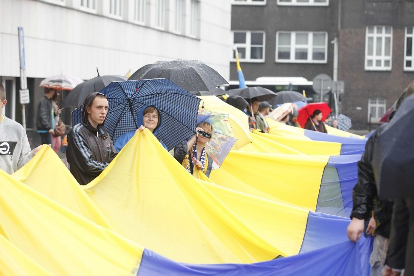 7. Marsz Autonomii 2013 i Dzień Górnośląski