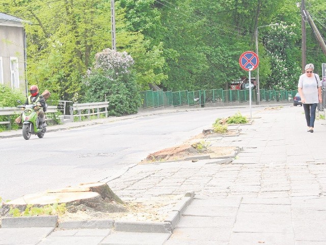 Wycięto już drzewa przy ul. Toruńskiej, które kolidowałyby z inwestycją drogową.