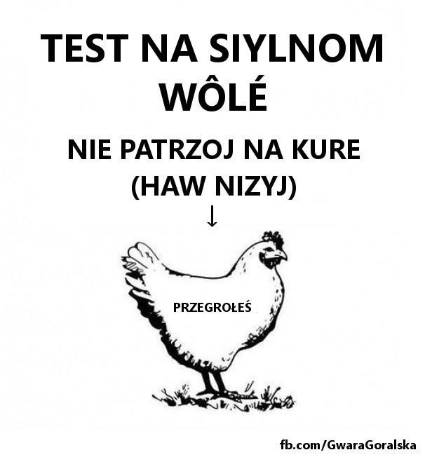 Podhale: Góralskie memy. Zobacz, jakie poczucie humoru mają górale! Oto najlepsze góralskie memy 28.11.2023