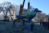 Kolorowy kruk „uziemniony” przy placu zabaw w Szczecinku