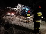Podlascy strażacy interweniowali ponad 170 razy przez opady śniegu (zdjęcia, wideo)