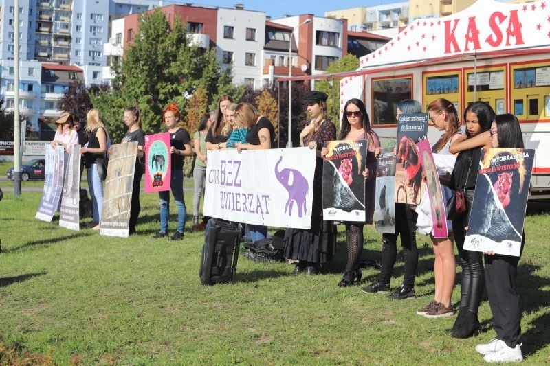 Jak twierdzą organizatorzy protestu, zwierzęta trzymane były...