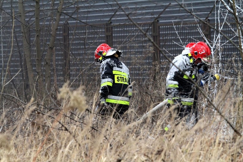 Strażacy mają bardzo pracowitą wiosnę. Przez wypalaczy! Nie żyją 2 osoby