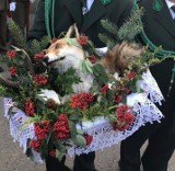 Tuchów. Martwy lis jako dar złożony podczas pielgrzymki do sanktuarium wzbudził oburzenie