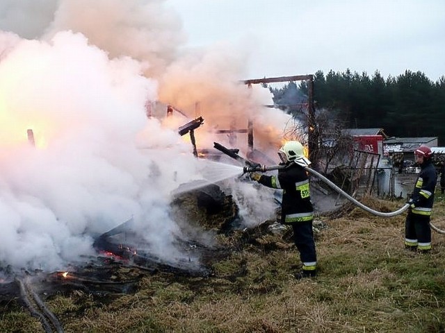 Płonącą stodołę gasiło kilka zastępów straży pożarnej.