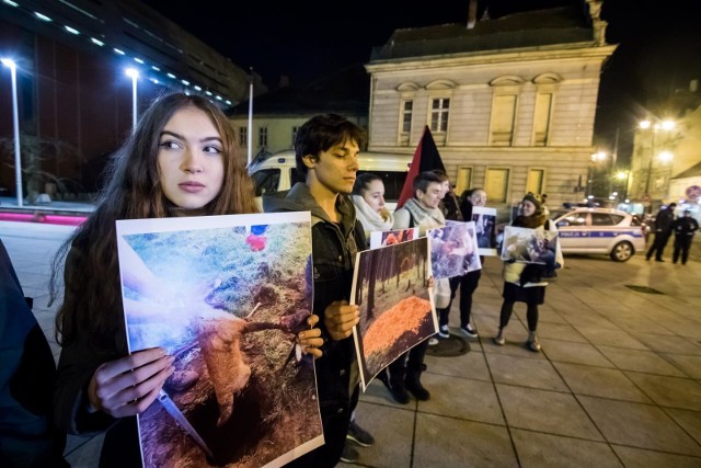 Miłośnicy zwierząt spotkali się w czwartek pod biurem PiS przy ulicy Gdańskiej 10, by wyrazić swój sprzeciw wobec nowelizacji ustawy o prawie łowieckim. Przeczytaj także: Pod „chmurką” już nie wypijesz. Czy w nocy kupisz, zdecyduje rada;nf"Nowelizacja cementuje patologie polskiego myślistwa i stwarza nowe zagrożenia oraz niepotrzebne konflikty społeczne - prawo myśliwego do polowania będzie nadrzędne wobec prawa i bezpieczeństwa obywateli oraz ochrony wspólnego dobra - przyrody " - czytamy na fanpage'u organizatorów protestu. Zaznaczają, że domagają się zniesienia polowań m.in. zbiorowych, podczas, których myśliwi niepokoją i płoszą wszystkie gatunki zwierząt, w tym także te chronione, z użyciem ołowianej amunicji, która jest toksyczna dla człowieka i środowiska i w bezpośredniej bliskości domów i zwiększenia odległości ze 100 do min. 500 metrów. Sprzeciwiają się również iudziałowi dzieci w polowaniach.Info z Polski - przegląd najciekawszych informacji z kraju [01.02.2018]