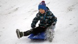 Zimowe harce dzieci na "stoku" Osady GRUD na osiedlu Strzemięcin w Grudziądzu [zdjęcia]