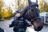 Policjanci na koniach patrolują Cmentarz Centralny w Szczecinie. Strzegą porządku przed i po Wszystkich Świętych [ZDJĘCIA]