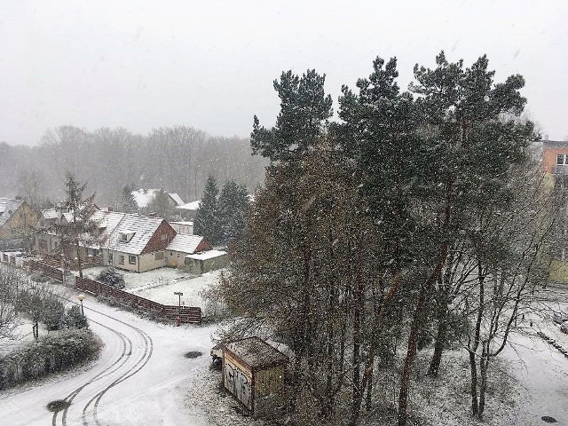 W sobotę (9 grudnia) w wielu lubuskich miejscowościach spadł śnieg. W Zielonej Górze zaczęło sypać już przed południem. A jak jest w innych miejscowościach regionu? Czekamy na Wasze zdjęcia na naszej facebook'owej stronie lub ślijcie na adres glonline@gazetalubuska.plZobacz też:  Jaka będzie zima? Czy czeka nas zima stulecia? Czy spadnie dużo śniegu? Prognoza na zimę 2017/2018Zobacz też: Najnowszy Magazyn Informacyjny GL (8.12.2017)