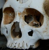 Morderstwo czy samobójstwo? Prokuratura bada tajemniczy szkielet znaleziony w lesie pod Wolinem